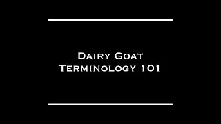 Basic Dairy Goat Terminology 101