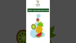 Water helps break down food and prevents constipation | #shorts