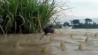 Sungai Meluap, Bapak Ini Kaget! Perangkapnya Penuh Ikan Satu Karung Lebih 😱”