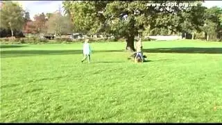 Intelligent Dog Training - DVD (2 hours Duration) available from www.petsonfilm.co.uk
