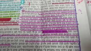 פרי חדש חולק על הט