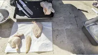 Chicken Fabrication