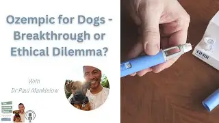 Ozempic for Dogs - Breakthrough or Ethical Dilemma?