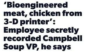 Курица Campbell Soup VP &mdash; это подделка, созданная биоинженерами