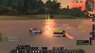 Classic Paladin Leveling in a nutshell
