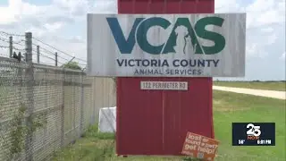 Changes to animal services leadership in Victoria County