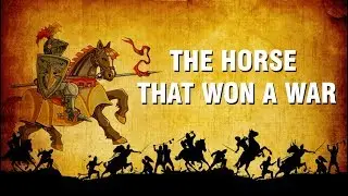 The Horse that won a fight | The Open Book | Education Videos