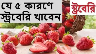 🍓,যে ৫ কারণে স্ট্রবেরি খাবেন,যে ৫ কারণে খাবেন মজাদার ফল স্ট্রবেরি,Healthy Lifecare BD, #strawberry