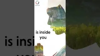 Unlock Your Inner Potential: Find Success Through Joy | JoyScore