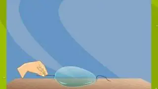 Balanced and Unbalanced Forces
