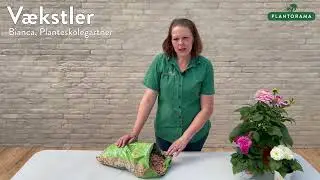 V&aelig;kstler