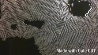 Grain boundaries growing