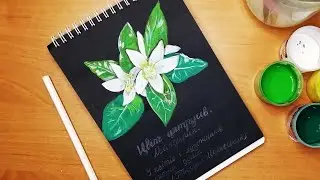 Charming Tangerine Flowers🍊: The Art of Drawing on a Black Background🖌️