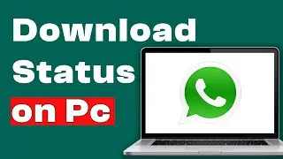 How to Save WhatsApp Status on WhatsApp Web