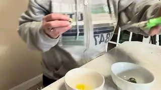 Quail egg kitchen scissors 