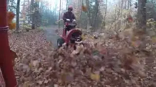 #338 FERRIS FB2000 Hurricane Commercial Debris Blower. Yup, there's a driveway under those leaves!