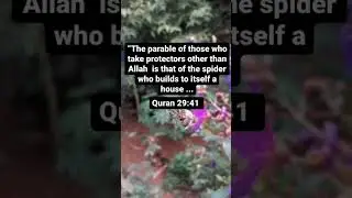 why do you believe in islam so much 🕋 #islam #islamic #islamicstatus #allahuakbar #prophetmuhammad