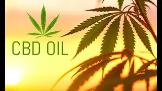 Changing The Future Outcome (CTFO) Online CBD Business Opportunity
