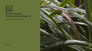 Detroit Swindle - The life behind things (Isoul8 remix)