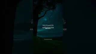 Reflecting with the Qur'an &ndash; A Journey to Inner Peace #islam #quran #peaceful #fyp #quranrecitation