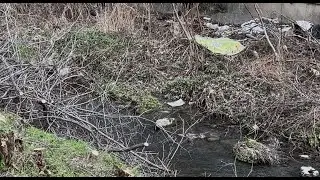 Почистват от наноси река 