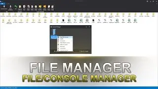 ApparitionNET Studio File/Console Manager Detailed Look