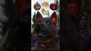Shadow Magic Hexblade SORLOCK Build in Baldur's Gate 3