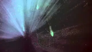 Tuna Dive Malta