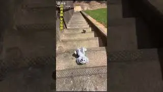 funny (3)