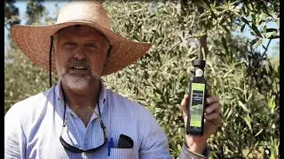 Lone Oak Olive Oil