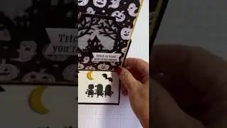 Scary Cute! Fun Friday Live!