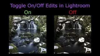 How to Use Lightroom's Hidden Eye Icon Feature?
