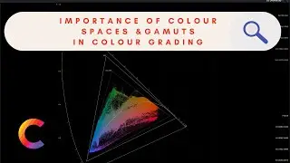 IMPORTANCE OF COLOUR SPACES & GAMUTS IN COLOUR GRADING