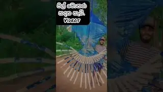 DIY Kite Making Tutorial: Step-by-Step Guide for Beginners මොනරා සරුංගලයක් හදන හැටි   #shorts
