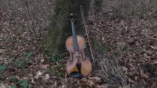 Naissance d'un alto
