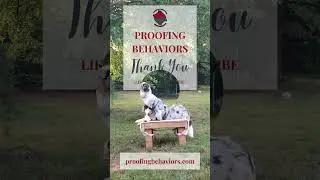 stop back figure six RUFF CUT  podcast
