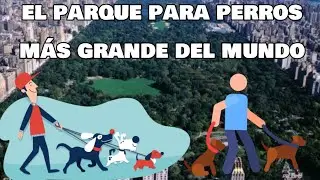 El PARQUE para PERROS mas GRANDE del MUNDO 🌎🐶