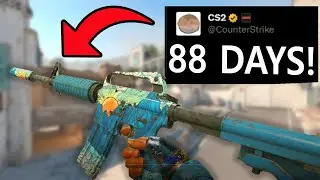 New LIMITED EDITION CS2 Skin is INSANE 👀