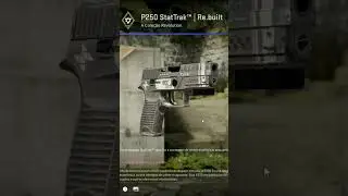 The ignored P250 StatTrack Re Built
