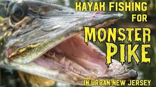 Kayak Fishing for Monster Pike in urban New Jersey
