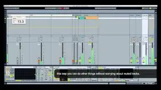 Ableton 'Mute Observer'