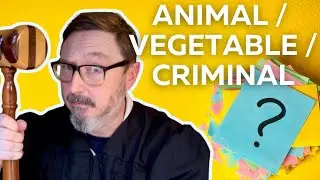 The Right Way to Play 20 Questions? | Animal/Vegetable/Criminal