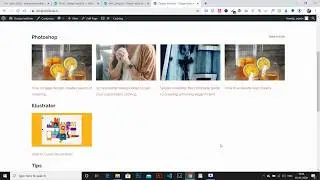 Easy: How to Show Post by Category in WordPress with Source Code