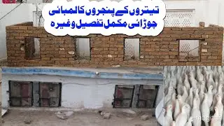 teetar cage setup || teetar cage size || teetar setup || dakhni teetar farming || teetar farming