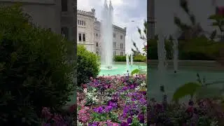 Castello Miramare a Trieste #travel #relax #aesthetic