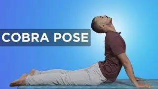 How to do Cobra Pose Step by Step Guide | Yoga for Back Pain | Yog4lyf