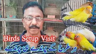 Visited Love birds and cockatiel breeding setup shwoing breeding progress