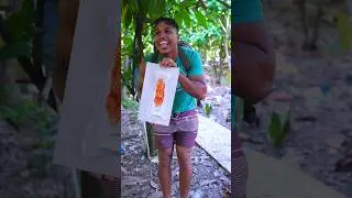 D&iacute;a de arte en la escuela 🤣 #comedy #shorts