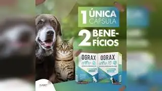 Review: Ograx Artro 10 - Suplemento Col&aacute;geno Para C&atilde;es/gatos Avert 30 C&aacute;psulas