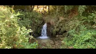 Quinta com ribeiro ,  5 Moinhos, 3 casas / Farm with river , 5 mills, 3 houses